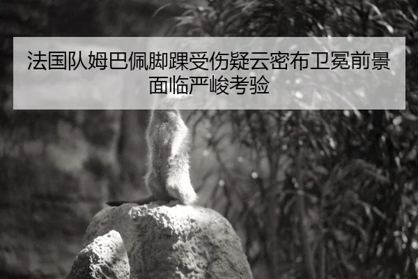 法国队姆巴佩脚踝受伤疑云密布卫冕前景面临严峻考验