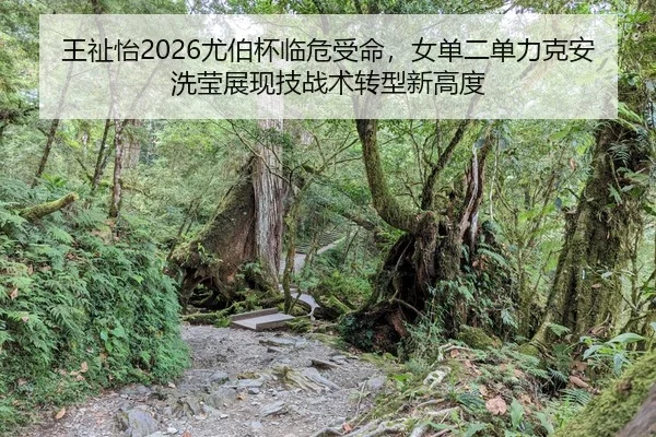 王祉怡2026尤伯杯临危受命，女单二单力克安洗莹展现技战术转型新高度